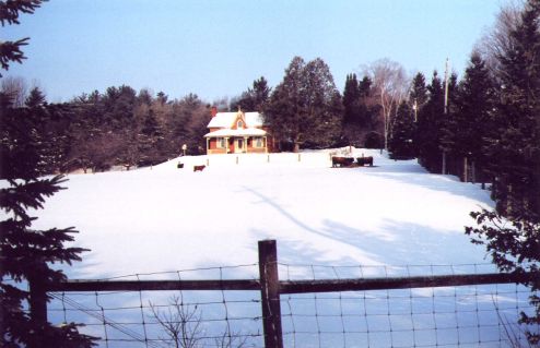 winter