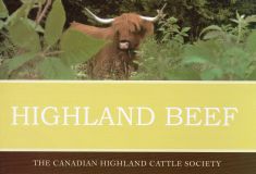 Highland Beef